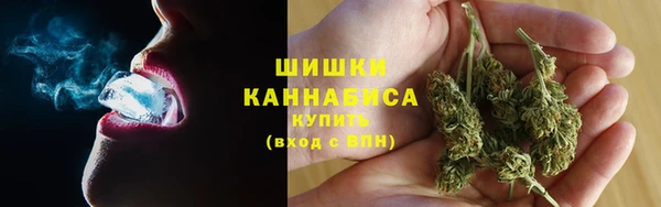 гидропоника Гусев