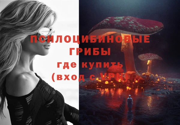 стафф Гусь-Хрустальный